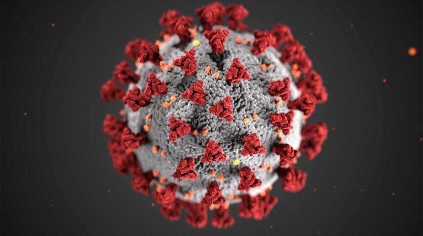 A rendering of the novel coronavirus, courtesy of CDC/ Alissa Eckert, MS; Dan Higgins, MAMS